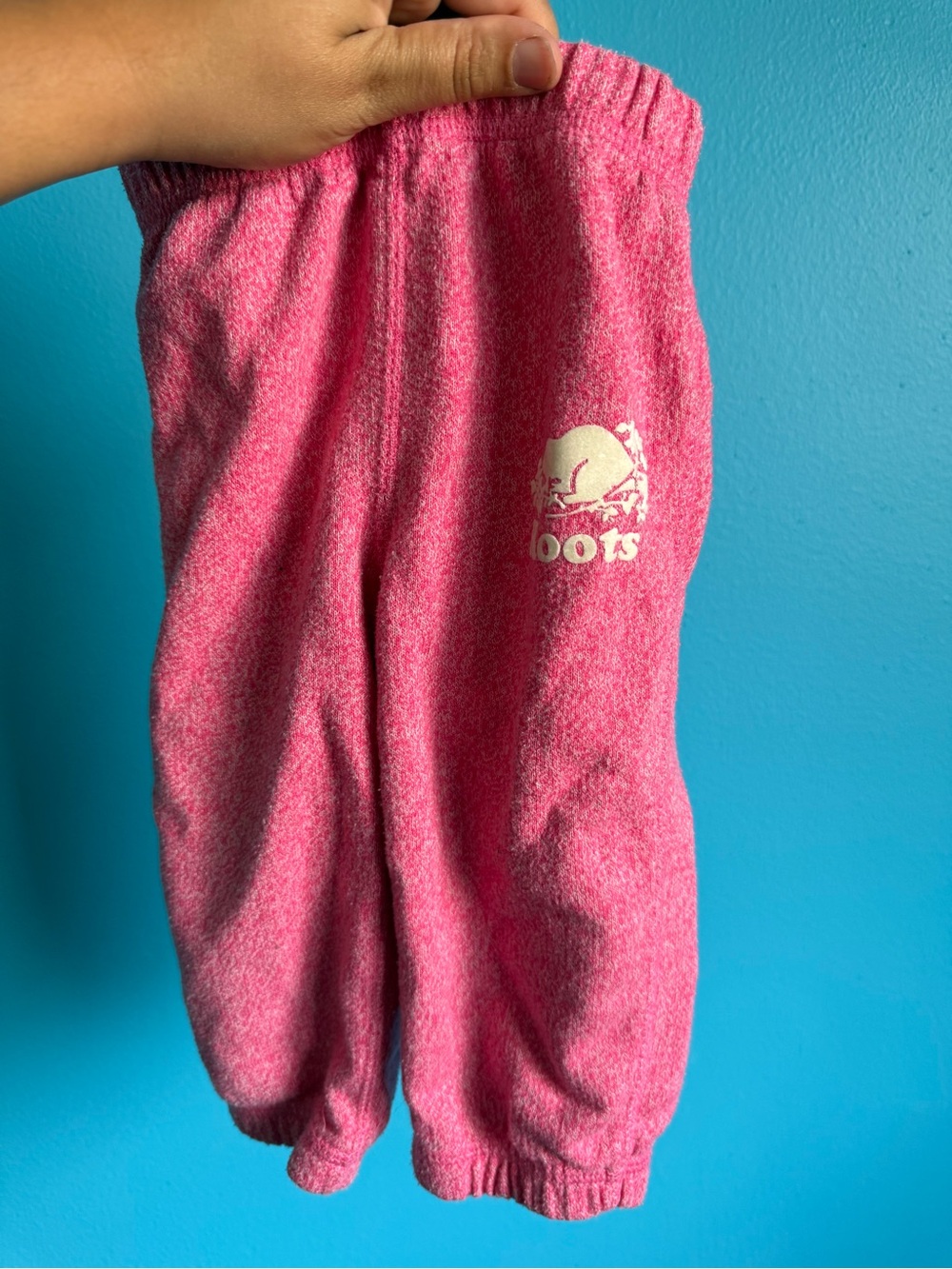 Roots sweatpants